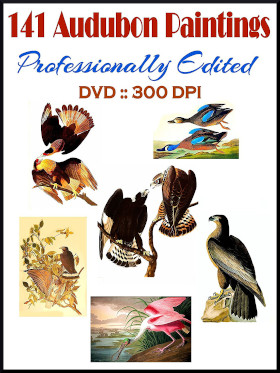 Audubon Bird Prints