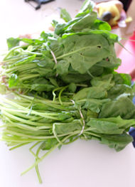 spinach2