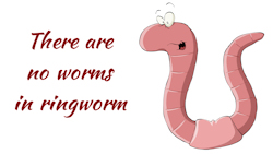 ringworm02
