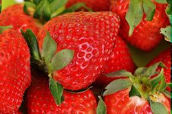 strawberries2