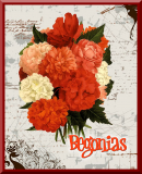 Begonias Vintage Print, 8" x 10" Glossy Print