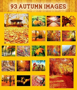 93 Glorious Autumn Images, Original Oil Paintings, on a DVD