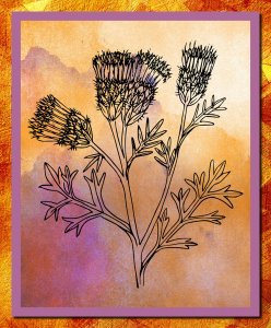 9 Printable Watercolor Wildflower Art Prints With A BONUS 10th Print: 8" x 10" Glossy Prints