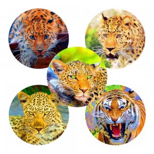 Collage Sheets: 94 Printable Lions, Tigers, Leopards, Cheetahs, 2 Sizes, High Resolution, Original Oil Paintings, DIY Printing