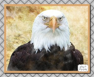 Printable Watercolor Eagle: High Resolution Image For DIY Printing