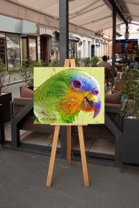 Printable Watercolor Parrot:  High Resolution Image For Printing