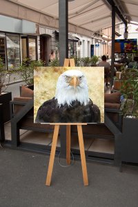 Printable Watercolor Eagle: High Resolution Image For DIY Printing