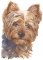 183 Watercolor Dogs Cross Stitch Patterns: On A USB Stick