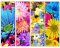 72 DIY Printable Flower Bookmarks: High Resolution Images