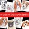 183 Watercolor Dogs Cross Stitch Patterns: On A DVD