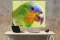 Printable Watercolor Parrot:  High Resolution Image For Printing